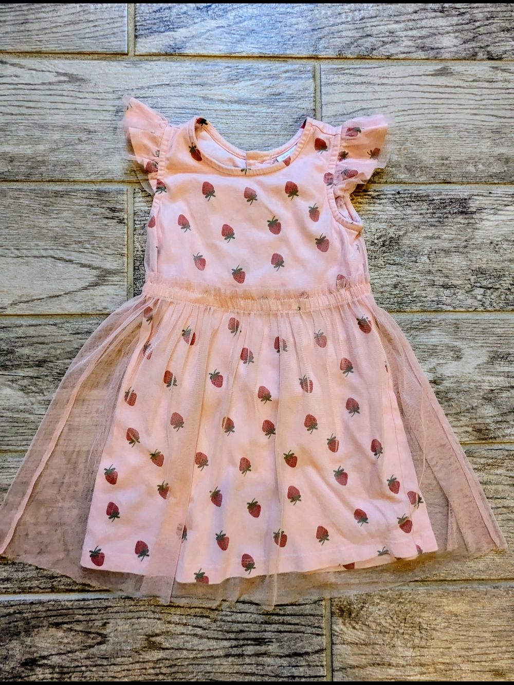 Hanna Andersson 4T Pink Strawberry Print Tulle Dress
